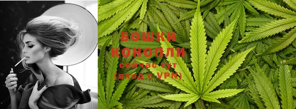 гидропоника Снежногорск