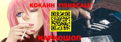 гашик Шелехов