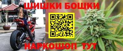 гашик Шелехов