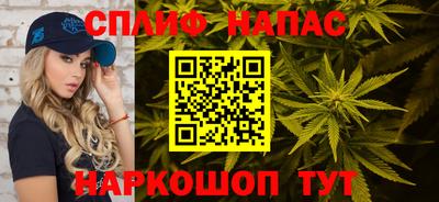 гашик Шелехов