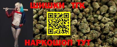 гашик Шелехов