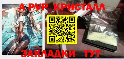 гашик Шелехов